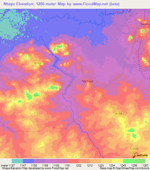 Nhaya,Tanzania Elevation Map