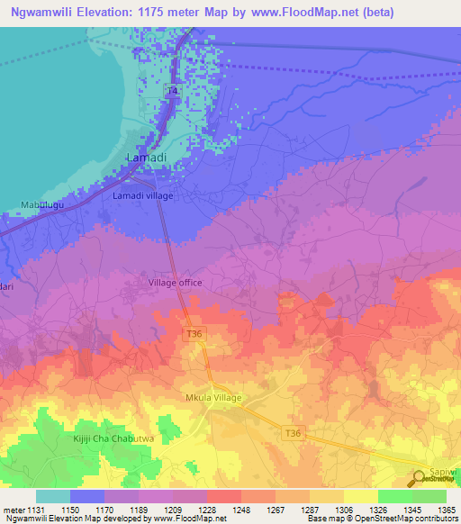 Ngwamwili,Tanzania Elevation Map