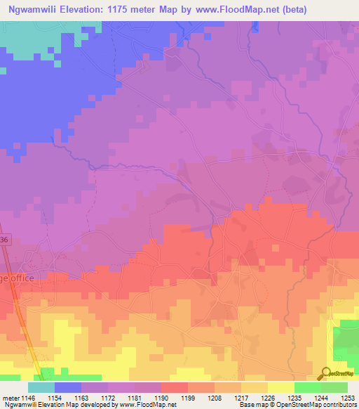 Ngwamwili,Tanzania Elevation Map