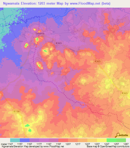 Ngwamala,Tanzania Elevation Map