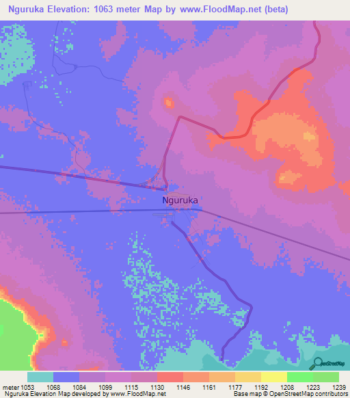 Nguruka,Tanzania Elevation Map