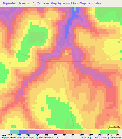 Nguruhe,Tanzania Elevation Map