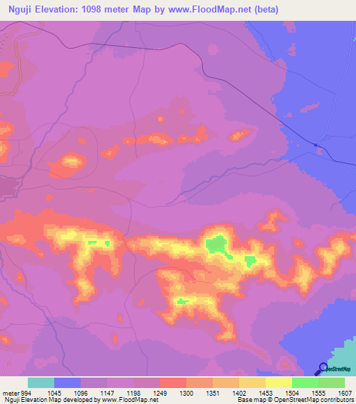 Nguji,Tanzania Elevation Map