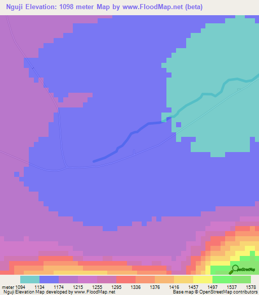 Nguji,Tanzania Elevation Map