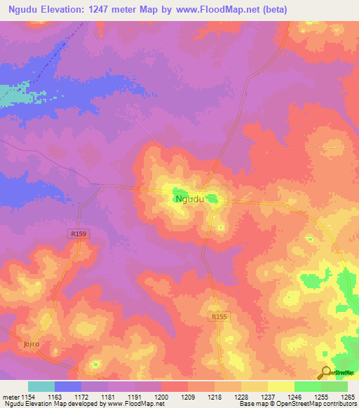 Ngudu,Tanzania Elevation Map