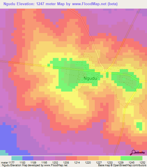 Ngudu,Tanzania Elevation Map