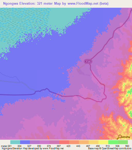 Ngongwa,Tanzania Elevation Map