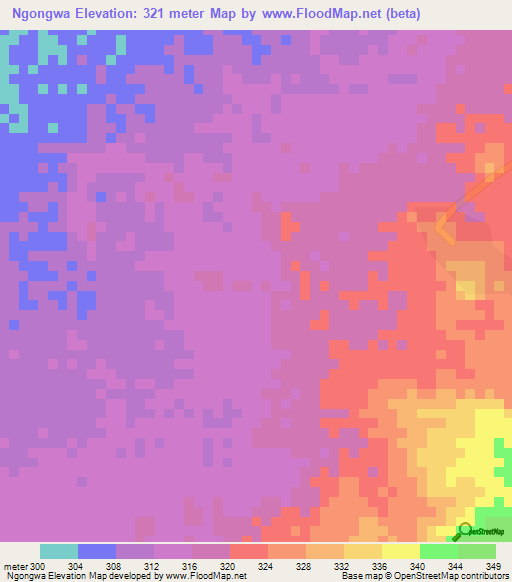 Ngongwa,Tanzania Elevation Map