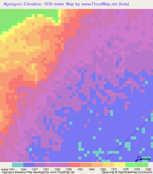 Ngongoro,Tanzania Elevation Map