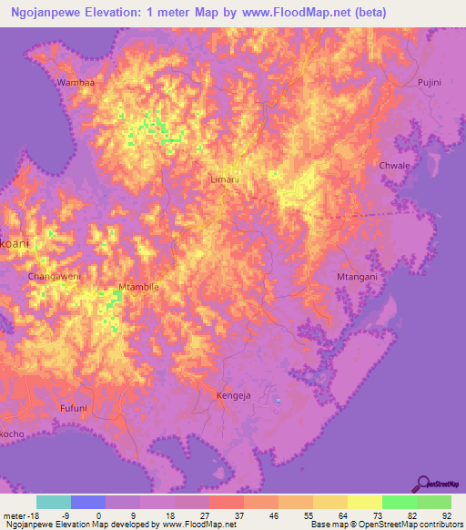 Ngojanpewe,Tanzania Elevation Map
