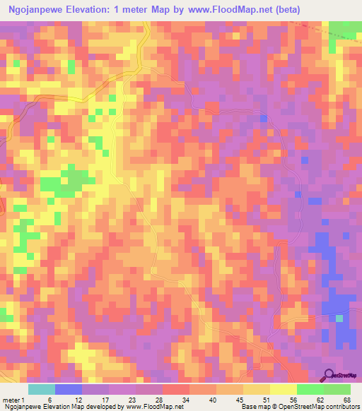 Ngojanpewe,Tanzania Elevation Map