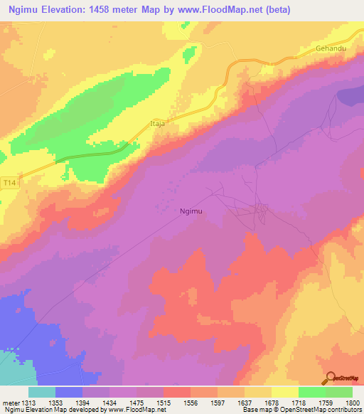 Ngimu,Tanzania Elevation Map