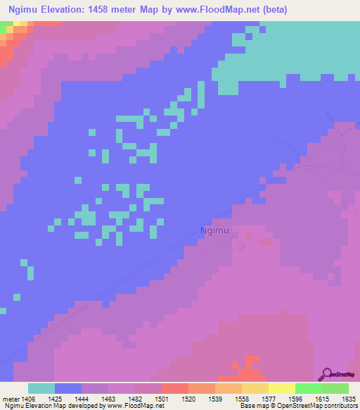 Ngimu,Tanzania Elevation Map