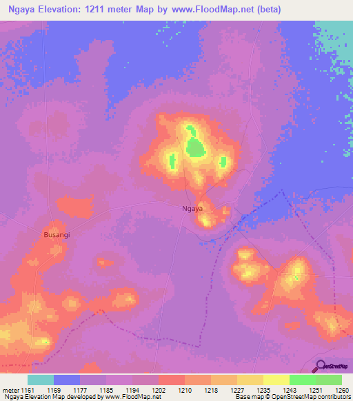 Ngaya,Tanzania Elevation Map