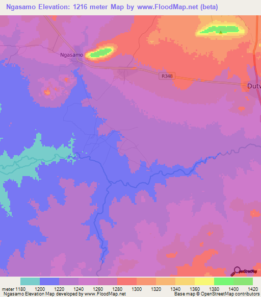 Ngasamo,Tanzania Elevation Map