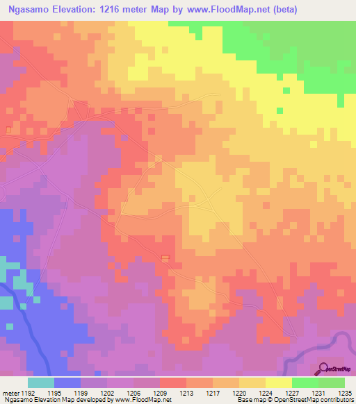 Ngasamo,Tanzania Elevation Map