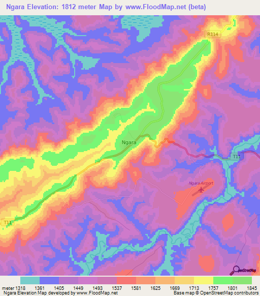 Ngara,Tanzania Elevation Map