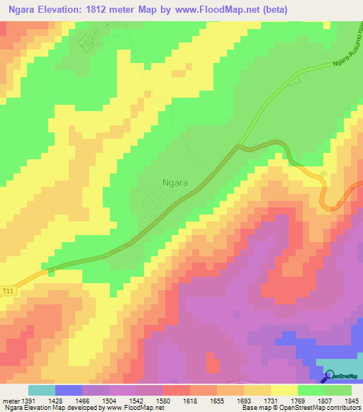 Ngara,Tanzania Elevation Map