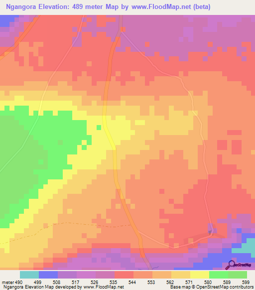 Ngangora,Tanzania Elevation Map