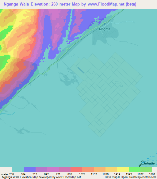 Nganga Wala,Tanzania Elevation Map