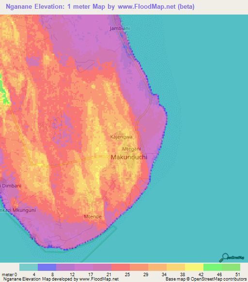 Nganane,Tanzania Elevation Map