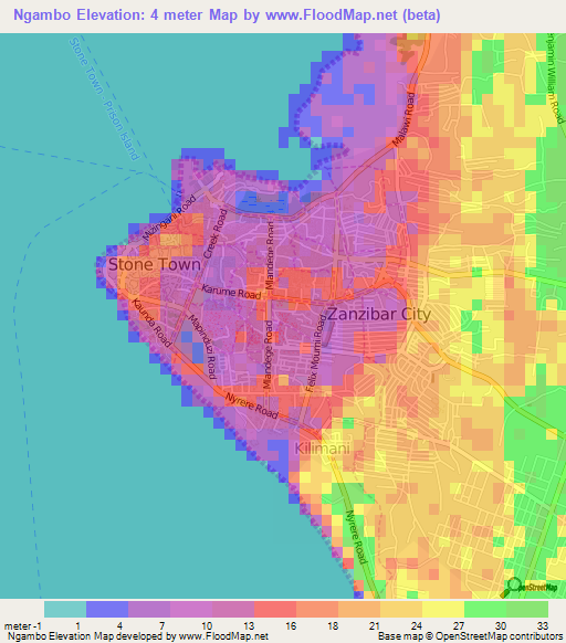 Ngambo,Tanzania Elevation Map