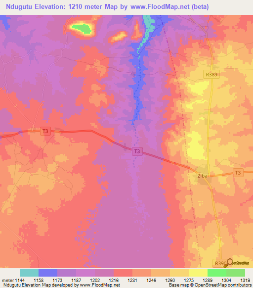 Ndugutu,Tanzania Elevation Map