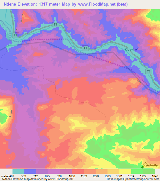 Ndene,Tanzania Elevation Map