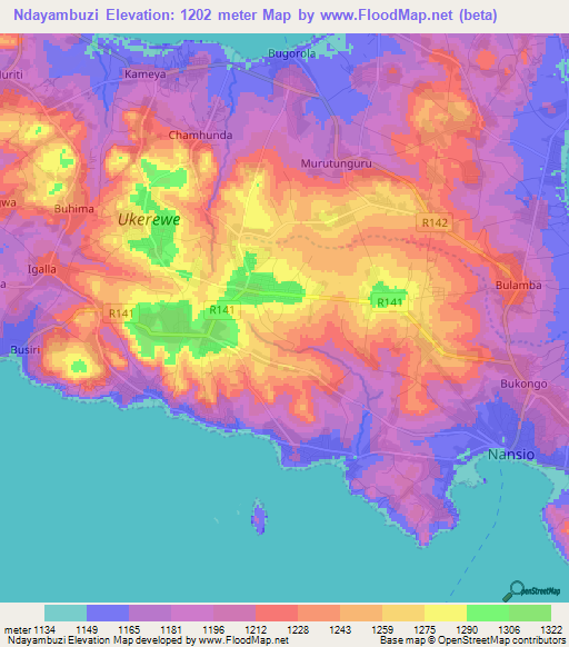 Ndayambuzi,Tanzania Elevation Map