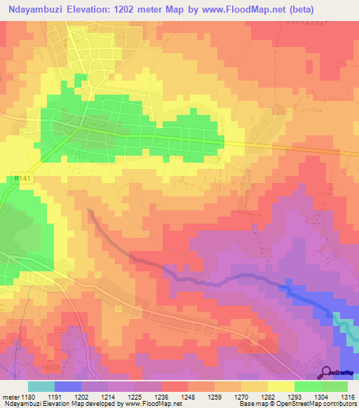 Ndayambuzi,Tanzania Elevation Map