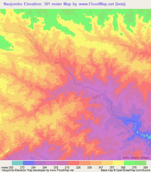 Naujombo,Tanzania Elevation Map