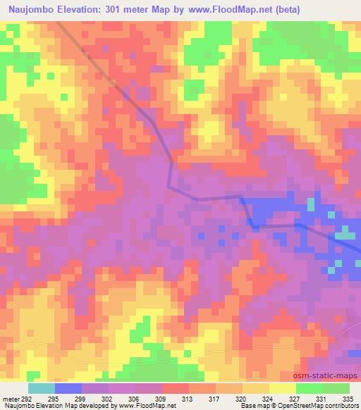 Naujombo,Tanzania Elevation Map