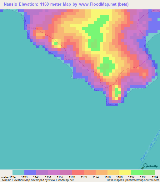 Nansio,Tanzania Elevation Map