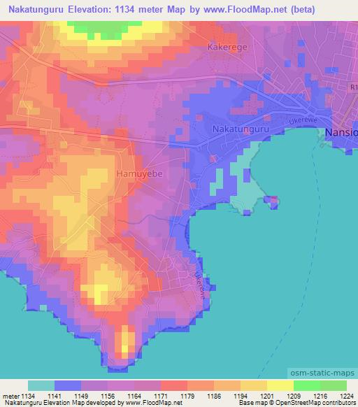 Nakatunguru,Tanzania Elevation Map