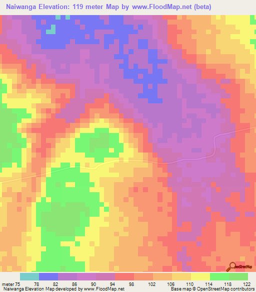 Naiwanga,Tanzania Elevation Map