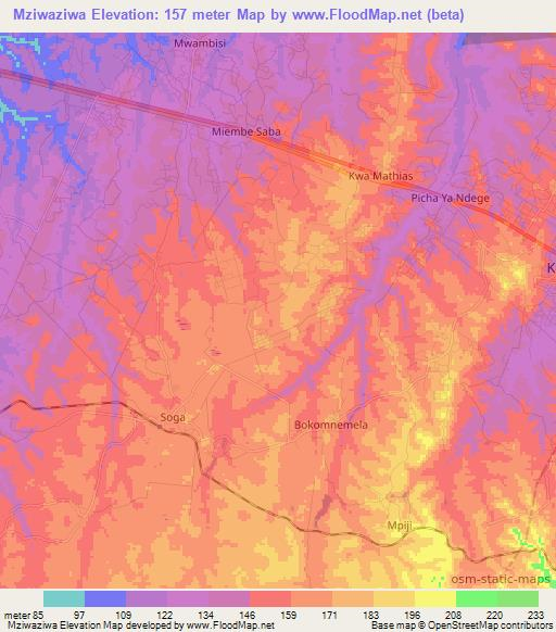 Mziwaziwa,Tanzania Elevation Map