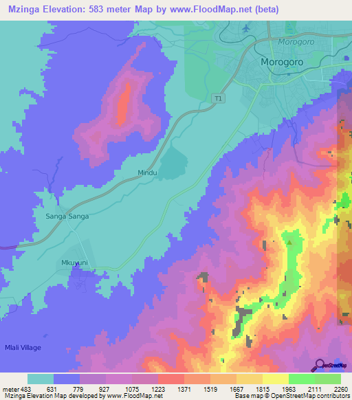 Mzinga,Tanzania Elevation Map