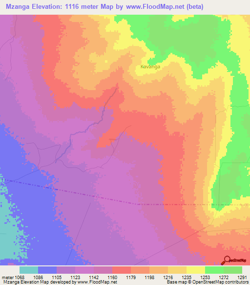 Mzanga,Tanzania Elevation Map