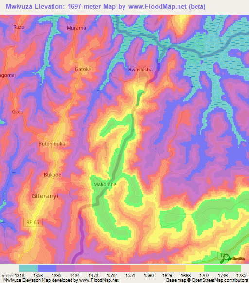 Mwivuza,Tanzania Elevation Map