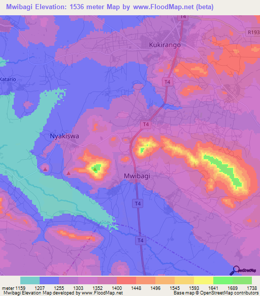 Mwibagi,Tanzania Elevation Map