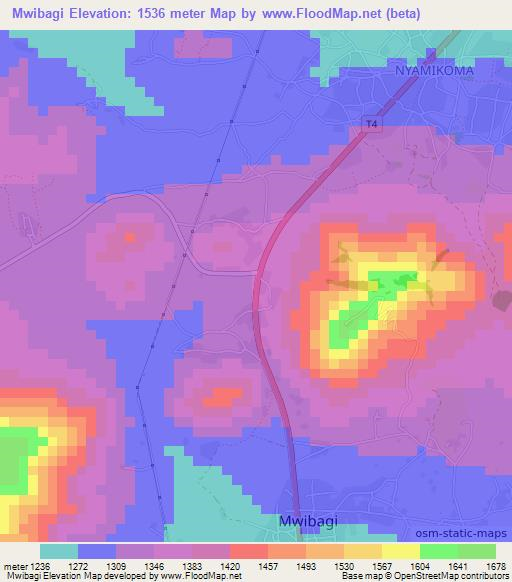 Mwibagi,Tanzania Elevation Map