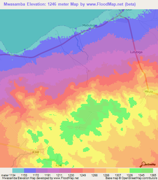 Mwasamba,Tanzania Elevation Map