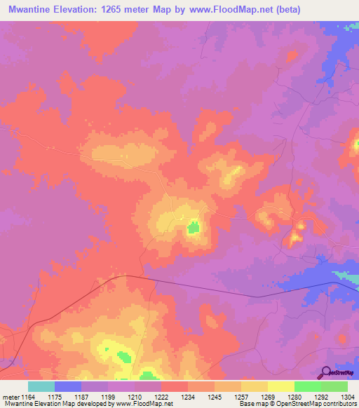 Mwantine,Tanzania Elevation Map