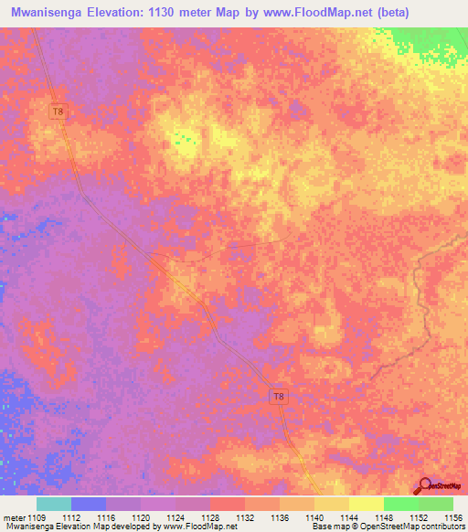 Mwanisenga,Tanzania Elevation Map