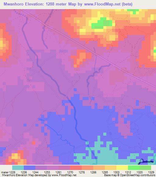 Mwanhoro,Tanzania Elevation Map