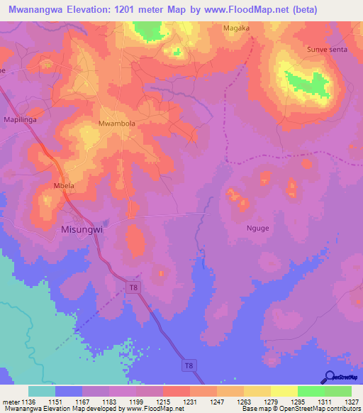 Mwanangwa,Tanzania Elevation Map