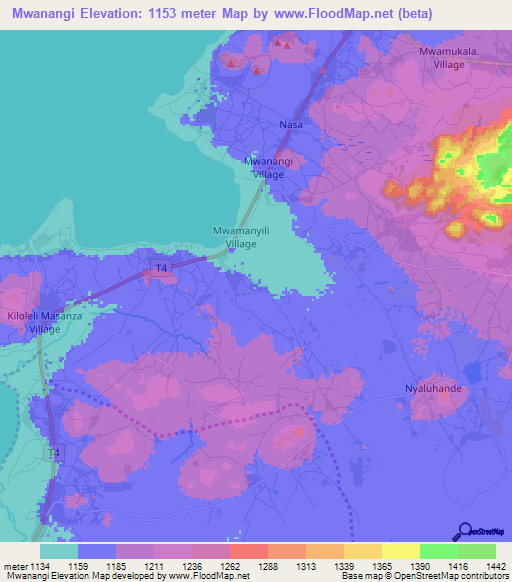 Mwanangi,Tanzania Elevation Map