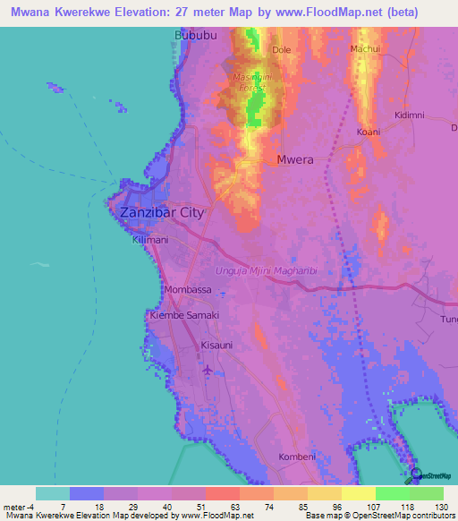 Mwana Kwerekwe,Tanzania Elevation Map