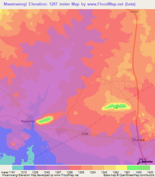 Mwamwengi,Tanzania Elevation Map