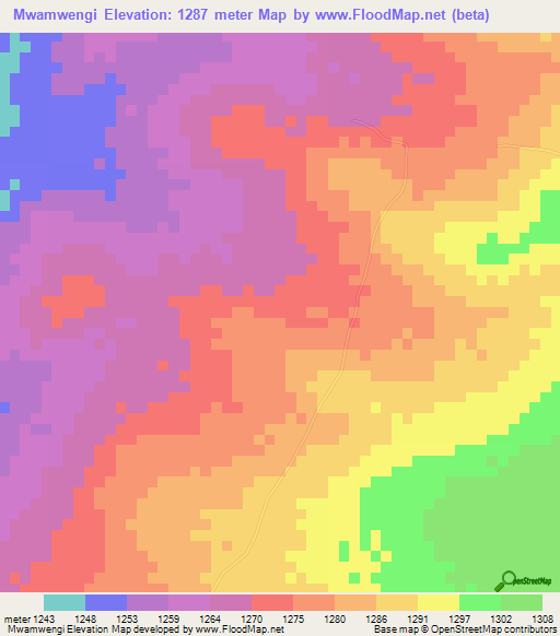 Mwamwengi,Tanzania Elevation Map